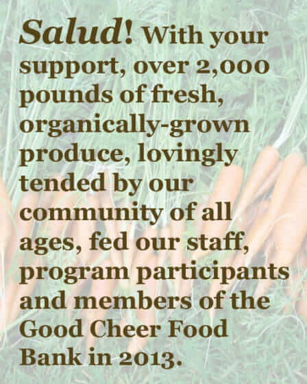 Salud! 2000 pounds of produce fed our staff, participants, and Good Cheer food bank