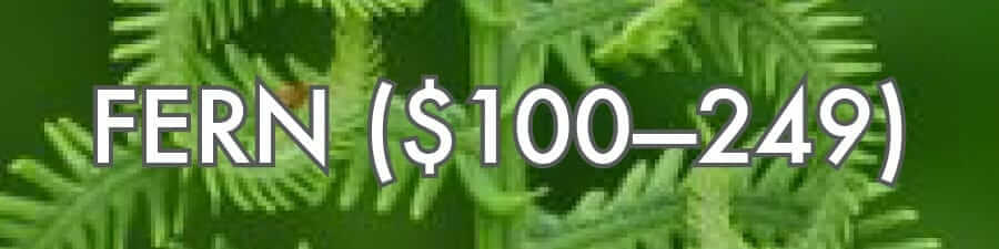 Fern ($100–249)