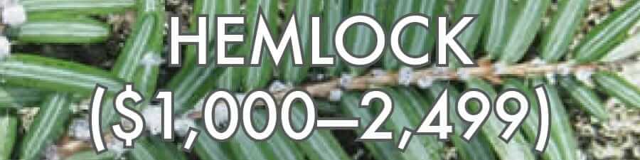 Hemlock ($1000–2499)